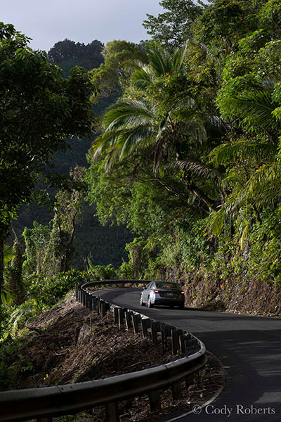 Road to Hana Maui